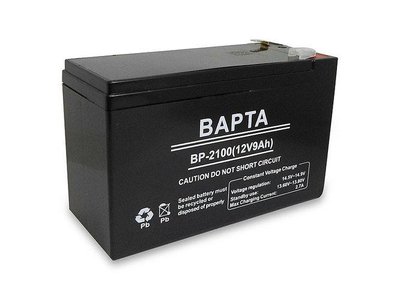 Акумуляторна батарея BAPTA 12 В 9,0 А·год BP-2100 8547 N210 фото