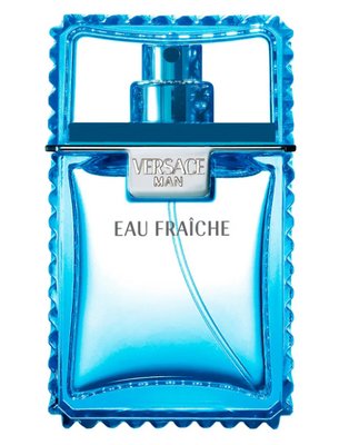 Туалетна вода чоловіча Versace Man Eau Fraiche, 100 ml YGF65fg фото