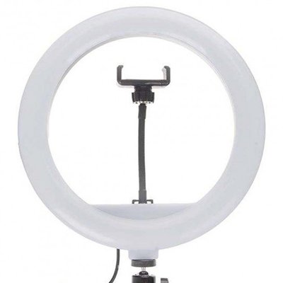 Кільцева LED-лампа світлодіодна Ring Fill Light JY-300 USB діамером 30 см з пультом ДК JY300 фото